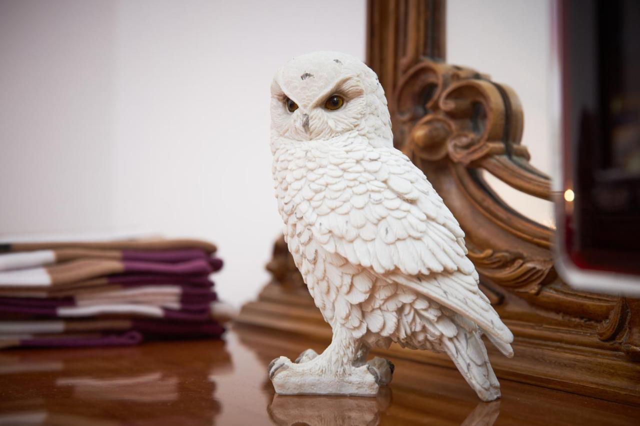 Harry Potter'S Magic House - Metro M4 - Linate - Citta Studi Apartment Milano Ngoại thất bức ảnh